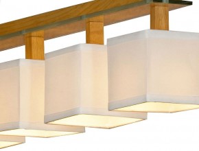 Подвесная люстра Lussole Montone LSF-2503-04 в Александровском - alexsandrovskoe.mebel24.online | фото 3