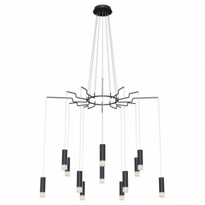 Подвесная люстра Maytoni Davida MOD035PL-12B в Александровском - alexsandrovskoe.mebel24.online | фото 2