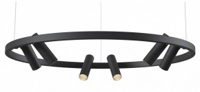 Подвесная люстра Maytoni Halo MOD102PL-L42BK в Александровском - alexsandrovskoe.mebel24.online | фото