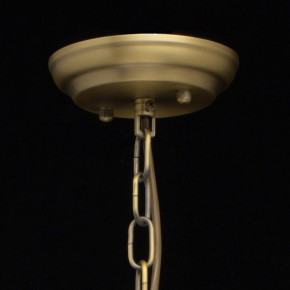 Подвесная люстра MW-Light Альгеро 3 285010703 в Александровском - alexsandrovskoe.mebel24.online | фото 14