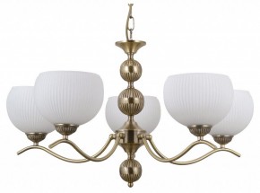 Подвесная люстра MW-Light Фелиция 28 347019705 в Александровском - alexsandrovskoe.mebel24.online | фото