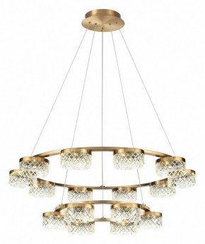 Подвесная люстра Odeon Light Fivre 5032/96L в Александровском - alexsandrovskoe.mebel24.online | фото 2