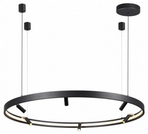 Подвесная люстра Odeon Light Fonda 4317/93L в Александровском - alexsandrovskoe.mebel24.online | фото 4