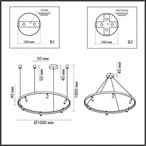 Подвесная люстра Odeon Light Fonda 4317/93L в Александровском - alexsandrovskoe.mebel24.online | фото 6
