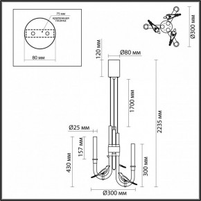 Подвесная люстра Odeon Light Lark 5431/6L в Александровском - alexsandrovskoe.mebel24.online | фото 5