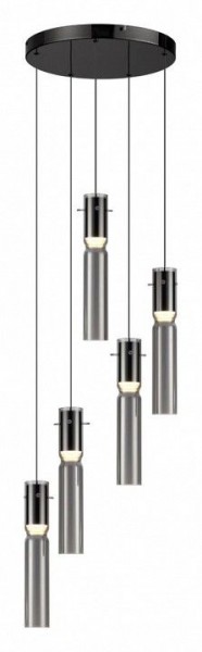 Подвесная люстра Odeon Light Scrow 5058/25L в Александровском - alexsandrovskoe.mebel24.online | фото 2