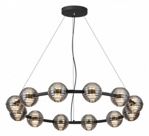 Подвесная люстра Odeon Light Troni 5041/120L в Александровском - alexsandrovskoe.mebel24.online | фото 2