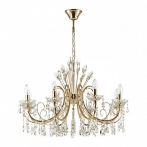 Подвесная люстра Odeon Light Versia 4977/8 в Александровском - alexsandrovskoe.mebel24.online | фото 3