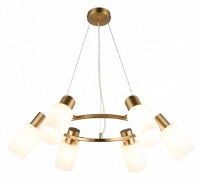 Подвесная люстра Omnilux Ales OML-69103-06 в Александровском - alexsandrovskoe.mebel24.online | фото 2
