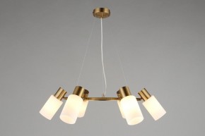 Подвесная люстра Omnilux Ales OML-69103-06 в Александровском - alexsandrovskoe.mebel24.online | фото 4