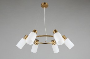 Подвесная люстра Omnilux Ales OML-69103-06 в Александровском - alexsandrovskoe.mebel24.online | фото 5
