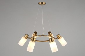 Подвесная люстра Omnilux Ales OML-69103-06 в Александровском - alexsandrovskoe.mebel24.online | фото 6