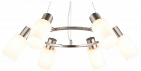 Подвесная люстра Omnilux Ales OML-69113-06 в Александровском - alexsandrovskoe.mebel24.online | фото 2