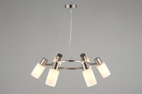 Подвесная люстра Omnilux Ales OML-69113-06 в Александровском - alexsandrovskoe.mebel24.online | фото 6