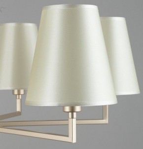 Подвесная люстра Omnilux Porlezza OML-72203-06 в Александровском - alexsandrovskoe.mebel24.online | фото 7