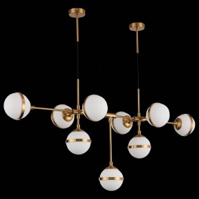 Подвесная люстра ST-Luce Arbe SL1157.303.09 в Александровском - alexsandrovskoe.mebel24.online | фото 4