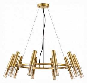 Подвесная люстра ST-Luce Eclip SL1236.203.10 в Александровском - alexsandrovskoe.mebel24.online | фото 3