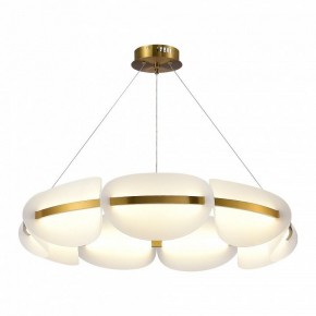 Подвесная люстра ST-Luce Etoile SL1304.203.56 в Александровском - alexsandrovskoe.mebel24.online | фото 2