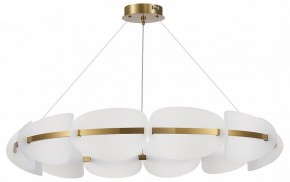 Подвесная люстра ST-Luce Etoile SL1304.203.65 в Александровском - alexsandrovskoe.mebel24.online | фото 3