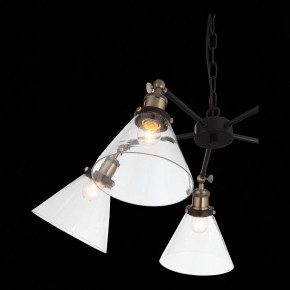 Подвесная люстра ST-Luce Evoluto SL237.413.05 в Александровском - alexsandrovskoe.mebel24.online | фото 7