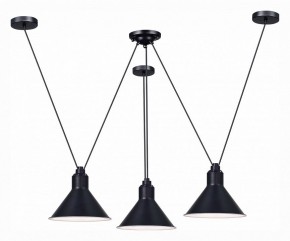 Подвесная люстра ST-Luce Svevo SL1804.403.03 в Александровском - alexsandrovskoe.mebel24.online | фото 2