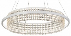 Подвесная люстра Vitaluce V5400 V5400-0/1S в Александровском - alexsandrovskoe.mebel24.online | фото