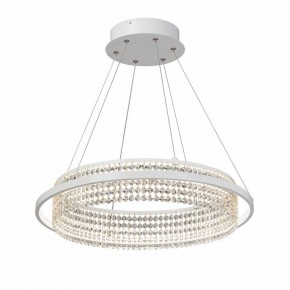 Подвесная люстра Vitaluce V5400 V5400-0/1S в Александровском - alexsandrovskoe.mebel24.online | фото 2