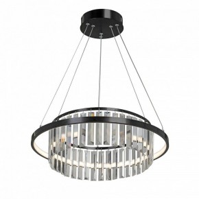 Подвесная люстра Vitaluce V54010 V54010-1/1S в Александровском - alexsandrovskoe.mebel24.online | фото