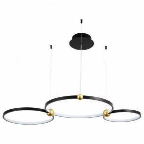 Подвесной светильник Divinare Amadeo 1123/04 SP-75 в Александровском - alexsandrovskoe.mebel24.online | фото