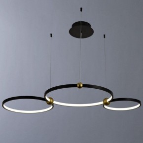 Подвесной светильник Divinare Amadeo 1123/04 SP-75 в Александровском - alexsandrovskoe.mebel24.online | фото 2