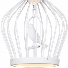 Подвесной светильник Favourite Chick 1931-2P в Александровском - alexsandrovskoe.mebel24.online | фото 3
