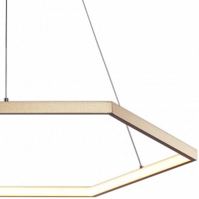Подвесной светильник Favourite Hexagon 2103-6P в Александровском - alexsandrovskoe.mebel24.online | фото 3