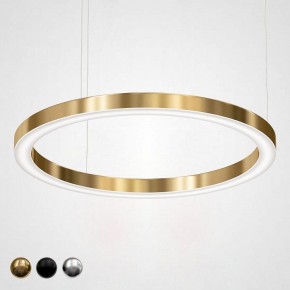 Подвесной светильник Imperiumloft Light Ring Horizontal 40.1454-100 в Александровском - alexsandrovskoe.mebel24.online | фото