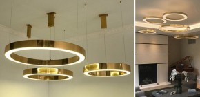 Подвесной светильник Imperiumloft Light Ring Horizontal 40.1454-100 в Александровском - alexsandrovskoe.mebel24.online | фото 2