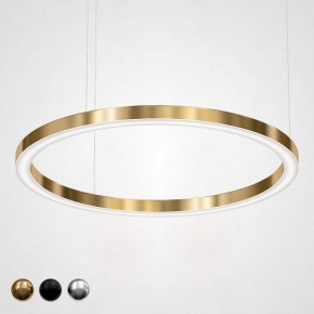 Подвесной светильник Imperiumloft Light Ring Horizontal 40.1454-120 в Александровском - alexsandrovskoe.mebel24.online | фото