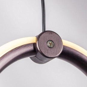 Подвесной светильник Lightstar Caramello 796289 в Александровском - alexsandrovskoe.mebel24.online | фото 10