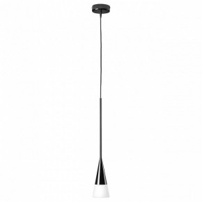 Подвесной светильник Lightstar Conicita 804117 в Александровском - alexsandrovskoe.mebel24.online | фото 2