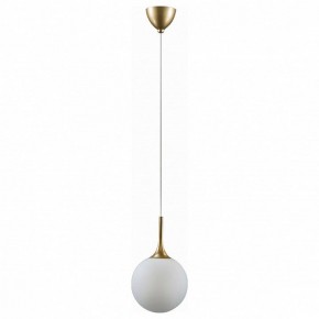Подвесной светильник Lightstar Globo 813022 в Александровском - alexsandrovskoe.mebel24.online | фото 2