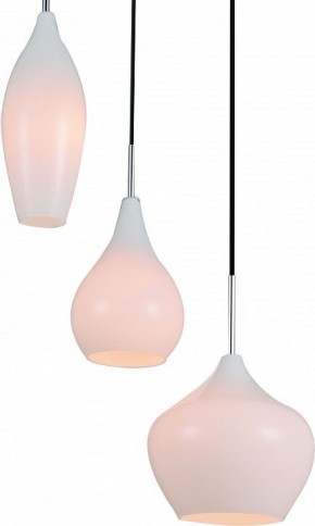 Подвесной светильник Lightstar Pentola 803050 в Александровском - alexsandrovskoe.mebel24.online | фото 2