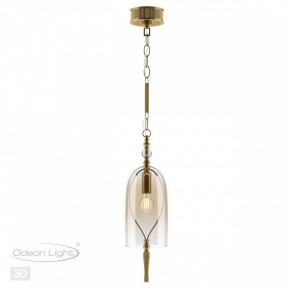 Подвесной светильник Odeon Light Bell 4892/1 в Александровском - alexsandrovskoe.mebel24.online | фото 5