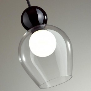 Подвесной светильник Odeon Light Blacky 2 5023/1 в Александровском - alexsandrovskoe.mebel24.online | фото 6