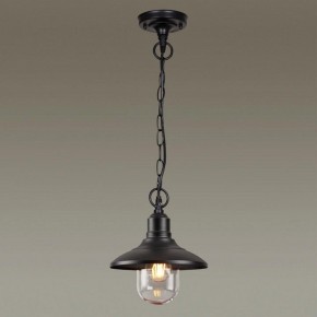 Подвесной светильник Odeon Light Campa 4965/1 в Александровском - alexsandrovskoe.mebel24.online | фото 2