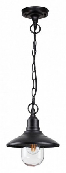 Подвесной светильник Odeon Light Campa 4965/1 в Александровском - alexsandrovskoe.mebel24.online | фото 3