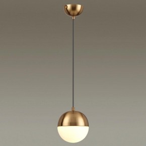 Подвесной светильник Odeon Light Pinga 4960/1 в Александровском - alexsandrovskoe.mebel24.online | фото 2