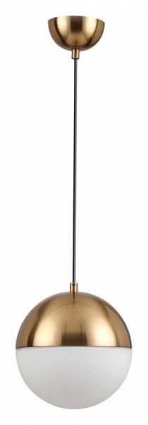 Подвесной светильник Odeon Light Pinga 4960/1A в Александровском - alexsandrovskoe.mebel24.online | фото 3