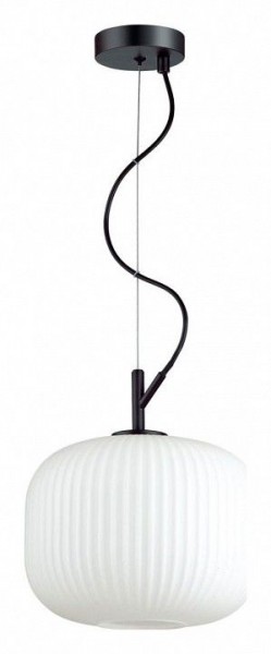 Подвесной светильник Odeon Light Roofi 4753/1 в Александровском - alexsandrovskoe.mebel24.online | фото 2