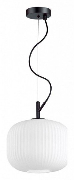 Подвесной светильник Odeon Light Roofi 4753/1 в Александровском - alexsandrovskoe.mebel24.online | фото 3