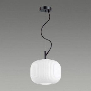 Подвесной светильник Odeon Light Roofi 4753/1 в Александровском - alexsandrovskoe.mebel24.online | фото 4