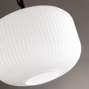 Подвесной светильник Odeon Light Roofi 4753/1 в Александровском - alexsandrovskoe.mebel24.online | фото 7