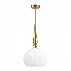 Подвесной светильник Odeon Light Runga 4766/1 в Александровском - alexsandrovskoe.mebel24.online | фото 3